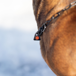 Collier chaîne Sprenger avec chaîne d'assemblage acier inoxydable noir 2 mm