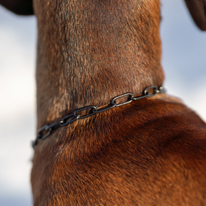 Collier chaîne Sprenger acier inoxydable noir 2 mm