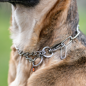 Collier chaîne Sprenger réglable maillons longs avec crochet SPRENGER acier inoxydable 3 mm