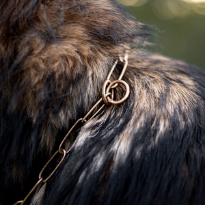 Collier chaîne Sprenger maillons longs Curogan 4 mm, 54 à 75 cm