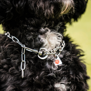Collier chaîne Sprenger réglable avec crochet SPRENGER et chaîne d'assemblage acier inoxydable 2 mm