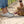 Sabots Muck Boot Muckster Lite Clog portes au jardin lors d une recolte