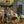 Bottes Muck Boot Forager Tall portees pour nourrir des moutons