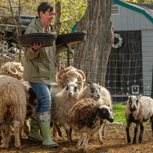 Bottes Muck Boot Forager Tall portees pour nourrir des moutons