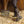 Bottes Muck Boot Edgewater II portees pour pailler un box