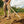 Chaussure Muck Boot Muckster II Low, vue de trois quarts avant