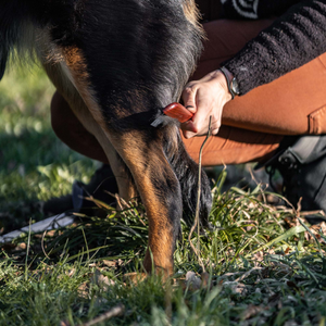 Peigne pour chien Sprenger manche fin dents acier 30 mm