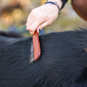 Peigne pour chien Sprenger dents acier 30 mm
