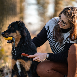 Peigne pour chien Sprenger manche fin dents acier 30 mm