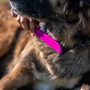Peigne pour chien Sprenger manche bois rose dents acier 30 mm