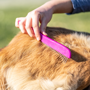 Peigne pour chien Sprenger manche bois rose dents acier 30 mm