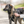 Râteau pour chien Sprenger acier nickelé démontable
