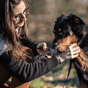 Coupe-griffe Sprenger manche Bois