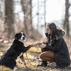 Coupe-griffe Sprenger manche Bois