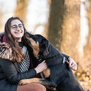 Râteau pour chien Sprenger acier revêtu antistatique 1 rangée grand modèle