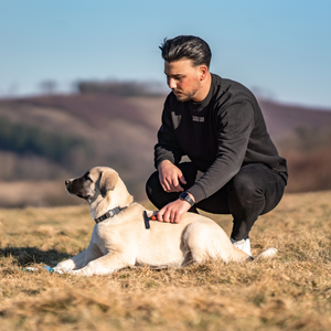 Râteau pour chien Sprenger acier revêtu antistatique 1 rangée grand modèle