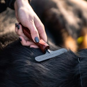 Râteau pour chien Sprenger acier revêtu antistatique 1 rangée grand modèle