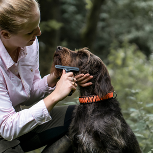 Râteau pour chien Sprenger acier revêtu antistatique 1 rangée petit modèle