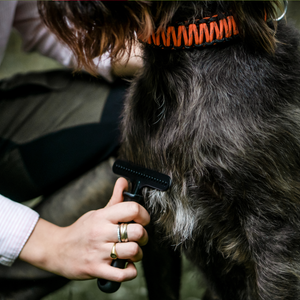 Râteau pour chien Sprenger acier revêtu antistatique 1 rangée petit modèle