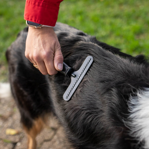 Râteau pour chien Sprenger acier revêtu antistatique 1 rangée petit modèle