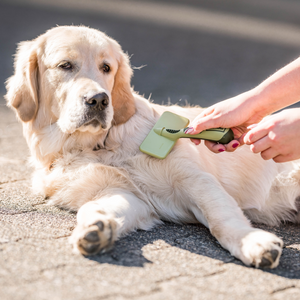 Brosse démêlante douce Safari pour chien