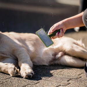 Brosse démêlante douce Safari pour chien