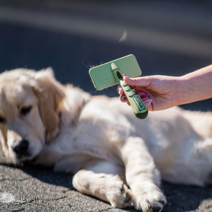 Brosse démêlante douce Safari pour chien