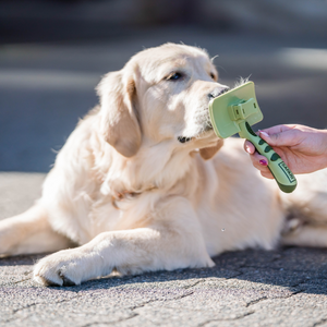 Brosse démêlante autonettoyante Safari pour chien