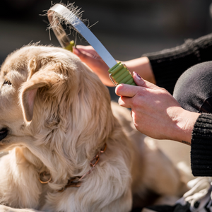 Lame double face anti-mue Safari pour chien