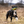 Jouet de rapport Soft Bite Tug Sprenger M