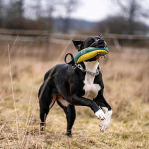 Jouet de rapport Soft Bite Tug Sprenger M