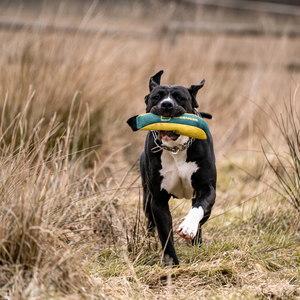 Jouet de rapport Soft Bite Tug Sprenger M
