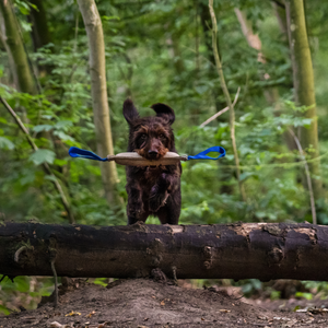 Bringsel en jute Sprenger