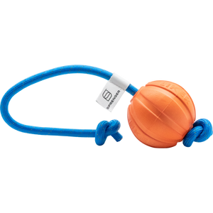 Balle Fun Ball Sprenger sur corde