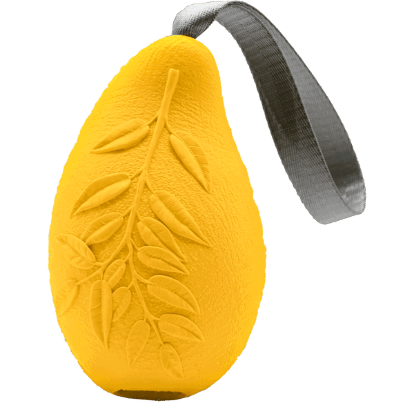 Jouet pour chien Mangue de Sprenger