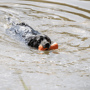 Sprenger – Jouet Haltère Sprenger pour chien    | Sellerie Bucéphale