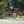 Bottes d'équitation Maximus en cuir souple