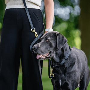 Κολάρο για σκύλους Martingale Ρυθμιζόμενο σε Biothane® Sprenger