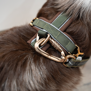 Longe de pistage caoutchoutée Sprenger brun et vert olive, finitions or rose