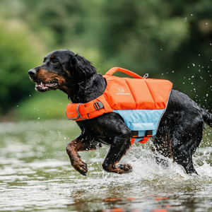 Gilet de sauvetage pour chien Sprenger orange-bleu