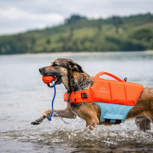 Gilet de sauvetage pour chien Sprenger orange-bleu