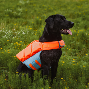 Gilet de sauvetage pour chien Sprenger orange-bleu