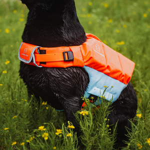 Gilet de sauvetage pour chien Sprenger orange-bleu