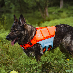 Gilet de sauvetage pour chien Sprenger orange-bleu