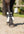 Woof Wear – Protège-boulets VISION Elegance Woof Wear Noir 4 | Sellerie Bucéphale
