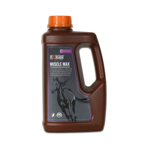 Muscle Max Foran, solution liquide riche en antioxydants et lysine pour le développement musculaire du cheval