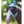 Shires – Fly Mask Shires fine mesh Teal Cob  | Sellerie Bucéphale