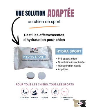 Hydra Sport PRO TEAM – Pastiglie Idratanti per Cani Sportivi