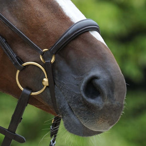 Passier – Bridon anatomique Fantastic Passier Noir Cheval Muserolle française anatomique et noseband | Sellerie Bucéphale