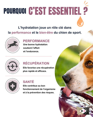 Hydra Sport PRO TEAM – Pastiglie Idratanti per Cani Sportivi